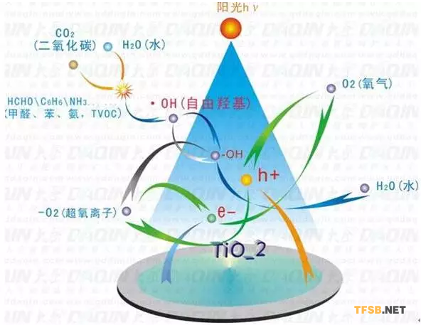 1495433692070096895.png blob.png