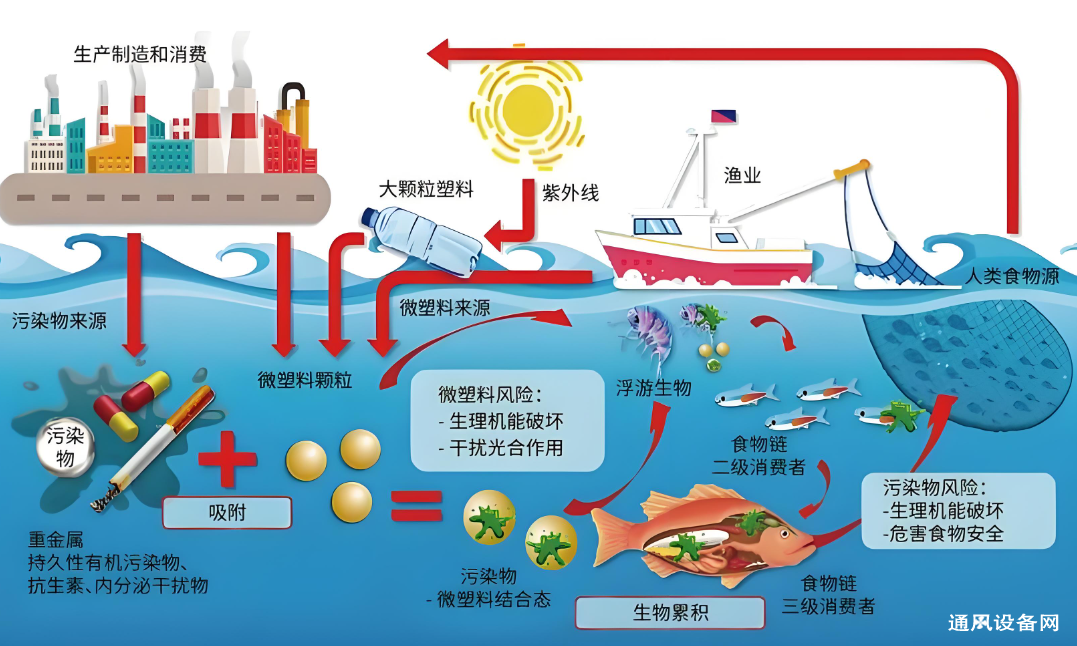 微信圖片_20241112155842